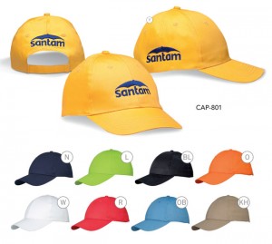 Detroit 6 Panel Cap